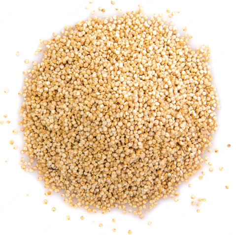 WHITE QUINOA