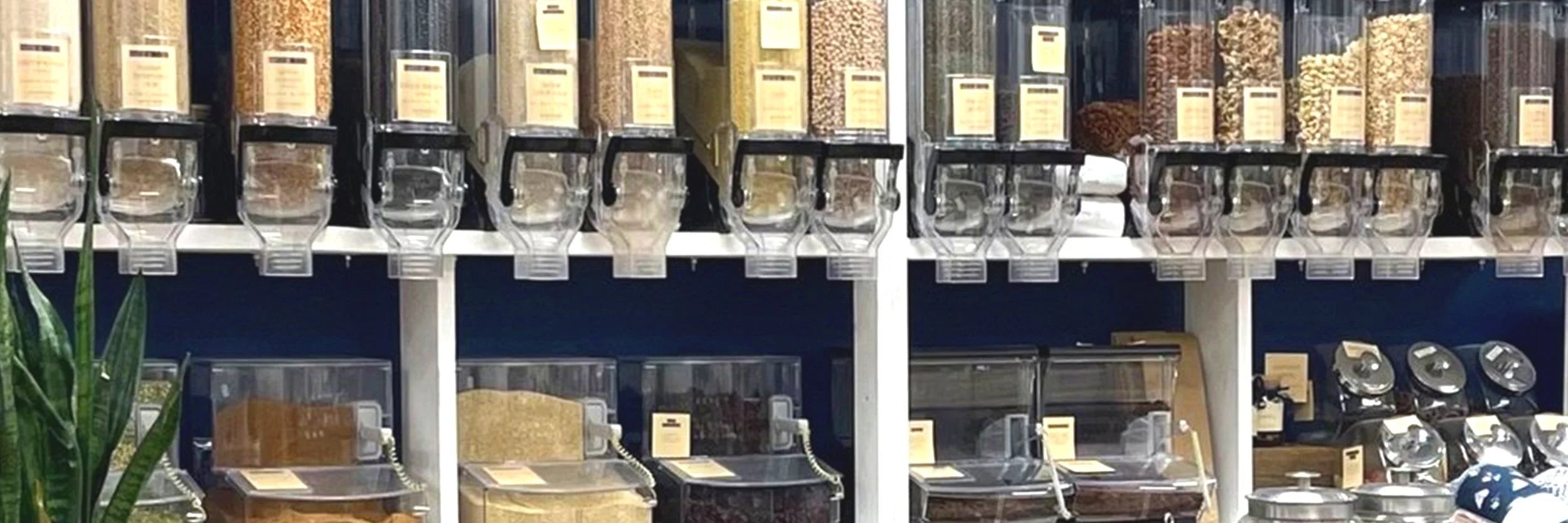 Good Bottle pantry items